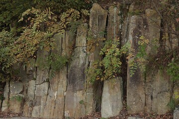 Weathered Rock Wall with Vibrant Autumn Foliage
