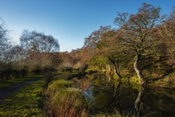 Obraz premium Destination scenics along the Leek branch of the Caldon canal waterway during autumn.