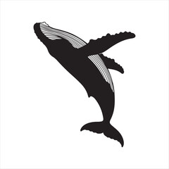 silhouette of a dolphin