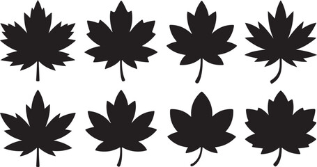 Obraz premium Eight Black Silhouette Maple Leaves with Stems maple leaf