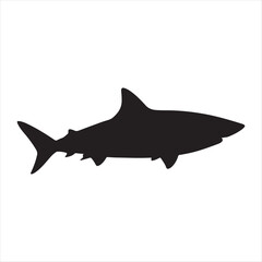 shark vector illustration