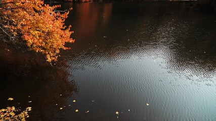 Soldier Lake. A lake in a mountainous area with different vegetation. Bright juicy autumn leaves, leaf fall and reflection in the water. - Powered by Adobe