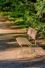Wooden bench in a park