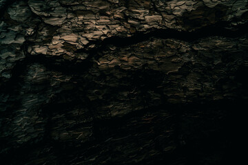 A detailed close-up of the varied, rough texture of pine bark. Deep, dark cracks and raised, in various shades of black. Use for backgrounds related to nature, ecology, abstract pattern 