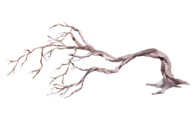A dried, gnarled, leaning tree. Isolated watercolor illustration for interior design, eco-projects, travel agency websites and brochures, company branding, and apparel printing.