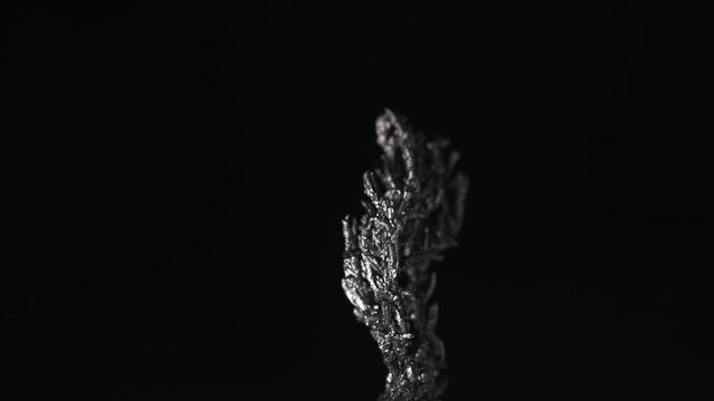 titanium crystal branches	