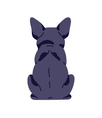 Turned away cute French bulldog with black color of coat. Back view of funny toy dog. Backside of adorable puppy. Behind of sitting pet, animal. Flat isolated vector illustration on white background