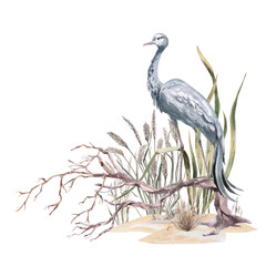 A common crane perched on a branch in tall grass. Isolated watercolor illustration for interior design, eco-projects, travel agency websites and brochures, company branding, and apparel printing.