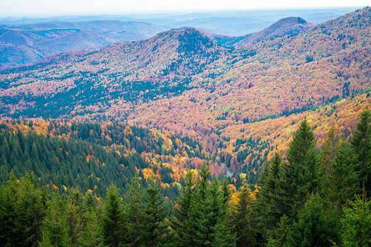 Autumn mountain landscape with forests in fall colors in the southern Carpathians, Romania