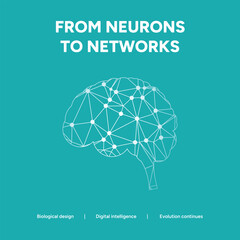 From neurons to networks a brain design on a teal background