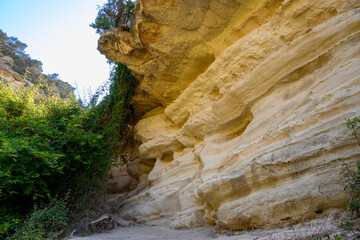 view of rocks, flowers and water in Avakas gorge