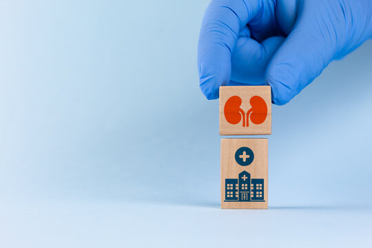 Organ donation awareness concept. A doctor wearing gloves sorts wooden cubes with a kidney icon and a hospital icon on a light blue background. Kidney donor.