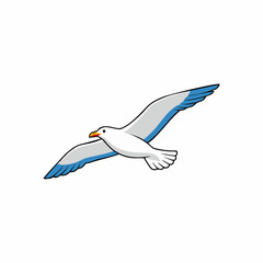 seagull vector illustration with white background