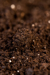 soil for growing seedlings or use to improve the soil quality in the field, fertile soil with white pieces of perlite to improve the quality of soil looseness and ensure drainage