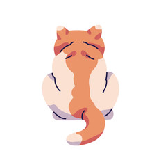Fototapeta premium Back view of sitting cat. Cute kitten of exotic shorthair or persian breed backside. Turned away kitty with patterned coat. Behind pet, animal with tail. Flat isolated vector illustration on white
