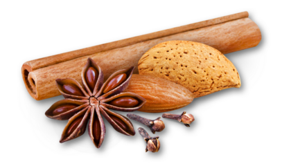 Cinnamon sticks, star anise, almonds and cloves with transparent shadow isolated on transparent background  PNG cut out
