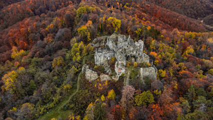 Aerial view of the old, weathered ruins of Ruzica Castle emerge from a vibrant tapestry of autumn foliage, a serene yet striking contrast, Orahovica, Virovitica-Podravina County, Croatia.