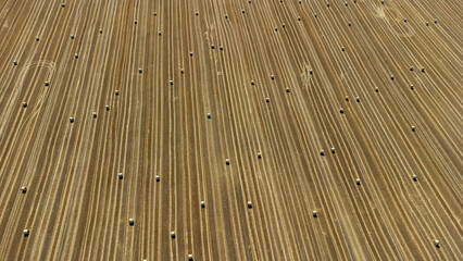 Aerial view of golden stubble fields punctuated by scattered hay bales, a testament to the harvest's yield, Osijek, Osijek-Baranja County, Croatia.
