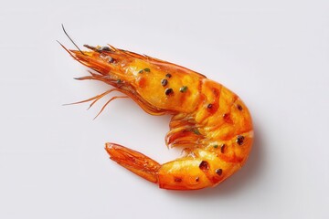 Single Grilled Shrimp on White Background with Orange Charred Highlights and Fresh Detail