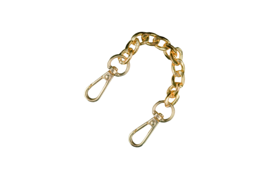 Short gold-tone chain strap with two swivel clasps is isolated.