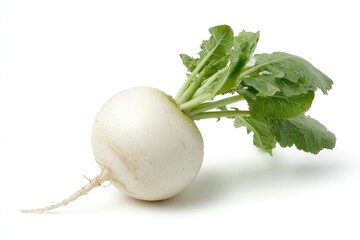 White radish with leaves