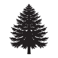Western red cedar silhouette black vector icon