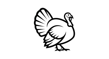 Fototapeta premium A simple line drawing of a turkey with its tail feathers fanned out isolated on white background