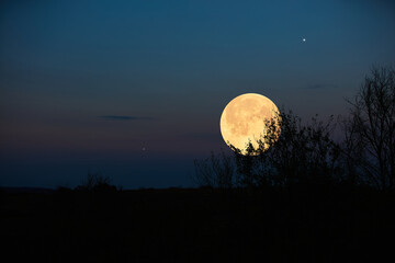 Fototapeta premium Full Moon, stars, planets and landscape scenery silhouettes.