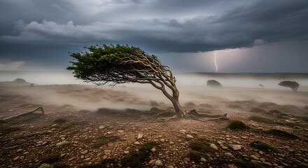 Tree bending violently in dusty storm on barren land