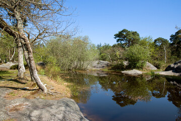 For&ecirc;t de Fontainebleau