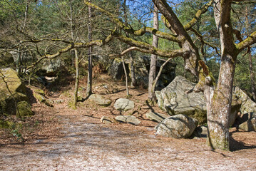 Forêt de Fontainebleau