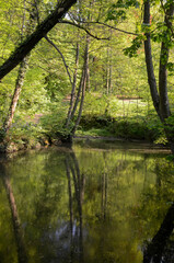 Étang de Saint-Cucufa