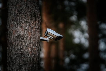 A modern surveillance camera is mounted on a tree trunk in a forest, capturing activity in a natural setting. Blurred background with soft light.
