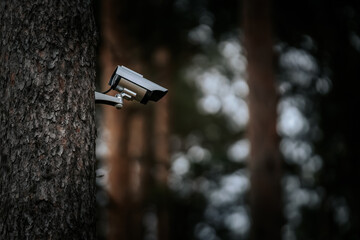 A modern surveillance camera is mounted on a tree trunk in a forest, capturing activity in a natural setting. Blurred background with soft light.