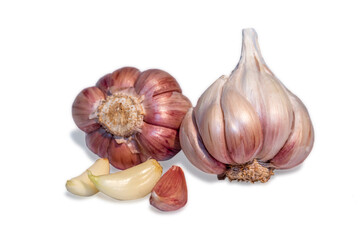 Garlic bulb and clove isolated. Garlic bulbs with cloves on white background