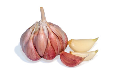 Garlic bulb and clove isolated. Garlic bulbs with cloves on white background