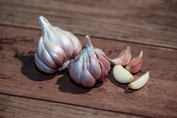 Garlic bulb and clove isolated. Garlic bulbs with cloves on wooden background