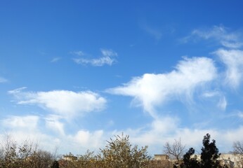 Blue sky with whimsical white clouds above trees and rooftops