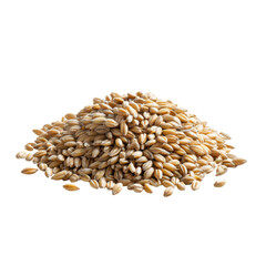 Obraz premium Heap of barley grains with transparent background
