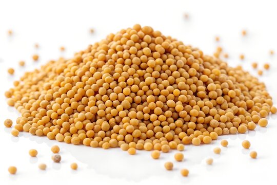 Premium Mustard Seed Photography