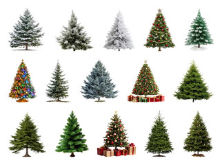 Obraz premium PNG Diverse festive Christmas tree collection, element set on transparent background