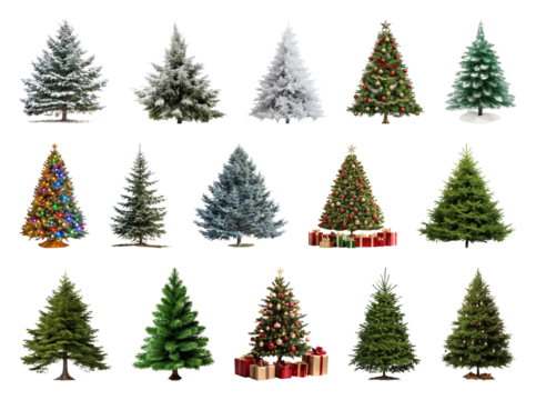 PNG Diverse festive Christmas tree collection, element set on transparent background - Powered by Adobe