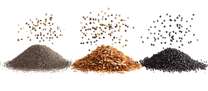 Three piles of nigella seeds cumin seeds and basil seeds falling on transparent background