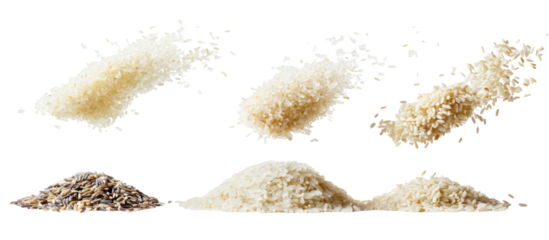 Three piles of parboiled rice sticky rice and wild rice falling on transparent background