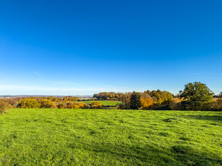 Elevated panoramic view across meadows and mixed forest in warm autumn colors under a huge clear sky, Luxembourg countryside.