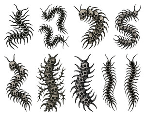 Obraz premium PNG Skull centipede tattoo designs, element set on transparent background