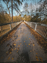Late Autumn Sunlight Over Woodland Paths, Dual Carriageway, and Rolling Fields, Burton Area, UK