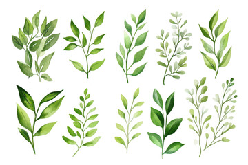 Fototapeta premium A collection of various green leaves and botanical elements. intricate details and textures. ideal for nature-themed designs or organic product promotions
