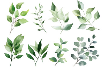 A collection of various green leaves illustrated in a watercolor style. different shapes and sizes. perfect for nature-themed designs or botanical illustrations