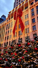 Christmas Season Holiday Photo with Festive Winter Decorations